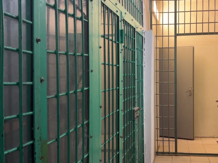 Питерская полиция задержала трех человек за похищение и вымогательство