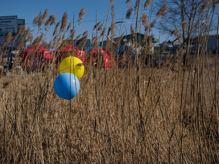 Премьер Украины Свириденко пошутила, что предпочла бы предыдущую должность