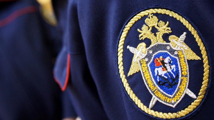 СК проверит московского тренера, избивавшего юных хоккеистов - Новости на Вести.ru