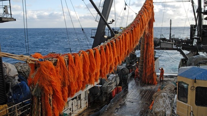 В Норвегии заявляют, что переговоры с Россией о вылове трески могут сорваться - Новости на Вести.ru