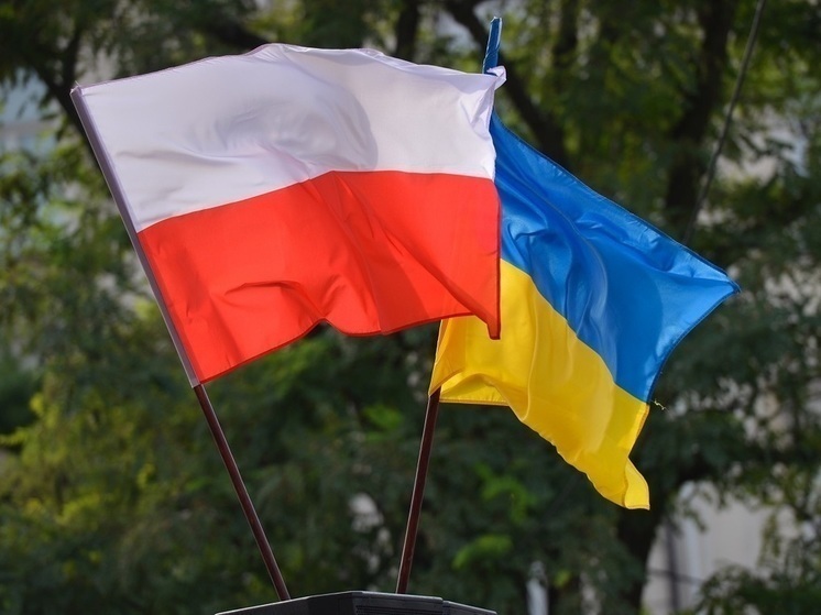 Депутат назвал польские власти сумасшедшими из-за платы по долгам Украины