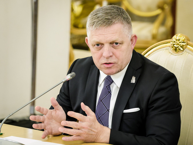 В Словакии раскрыли, что произойдет в случае передачи Киеву замороженных активов РФ