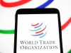 FT: США усиливают нападки на Всемирную торговую организацию — Новости на Вести.ru