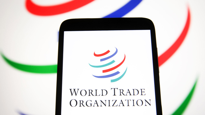 FT: США усиливают нападки на Всемирную торговую организацию - Новости на Вести.ru