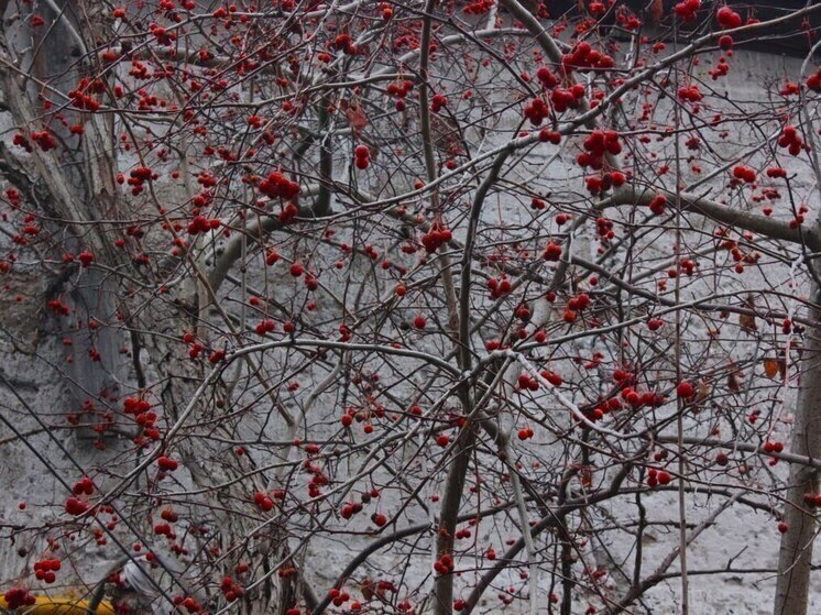 Названы регионы, где будет сильное похолодание