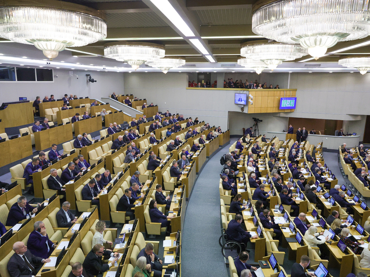 В Госдуме обсуждают закон о цифровом надзоре за бывшими заключенными